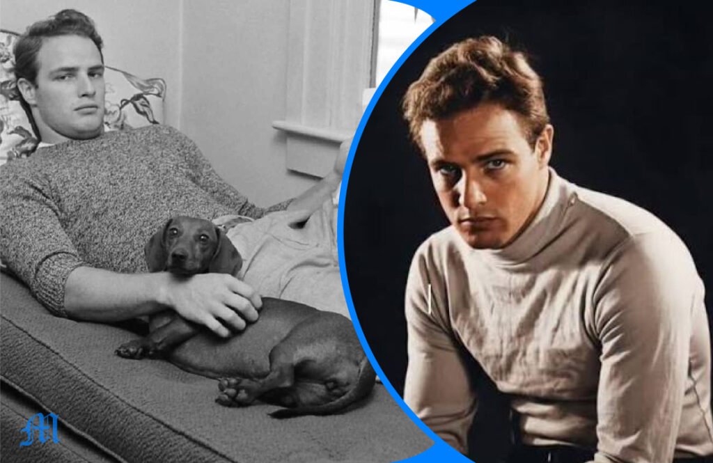 Who Is Myles Jonathan Brando? Everything You Know About Marlon Brando’s Son Who Is Myles Jonathan Brando? Everything You Know About Marlon Brando's Son