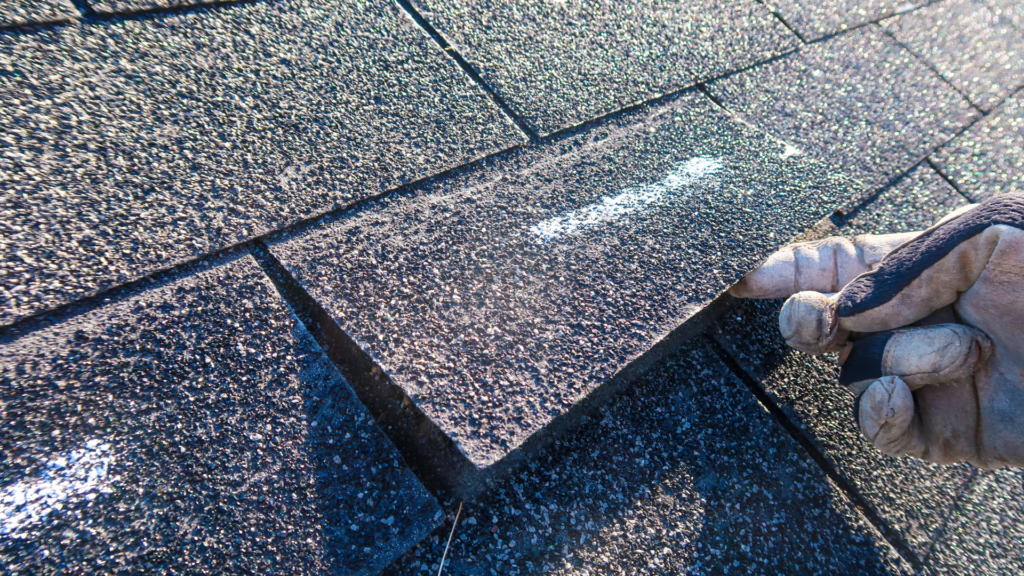 How to Spot Roof Damage Early and Prevent Costly Leaks