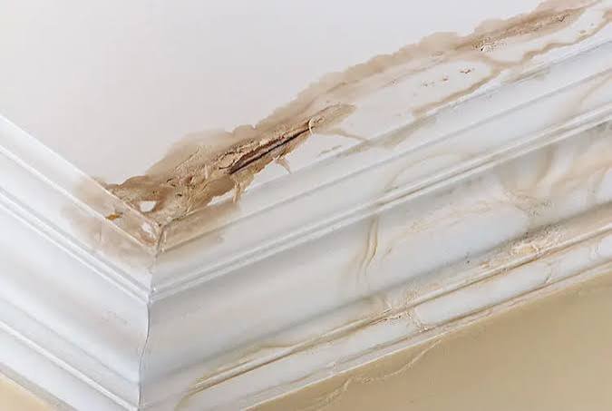 Hidden Leaks, Lasting Damage: Why Professional Leak Repair Protects Your Property Hidden Leaks, Lasting Damage