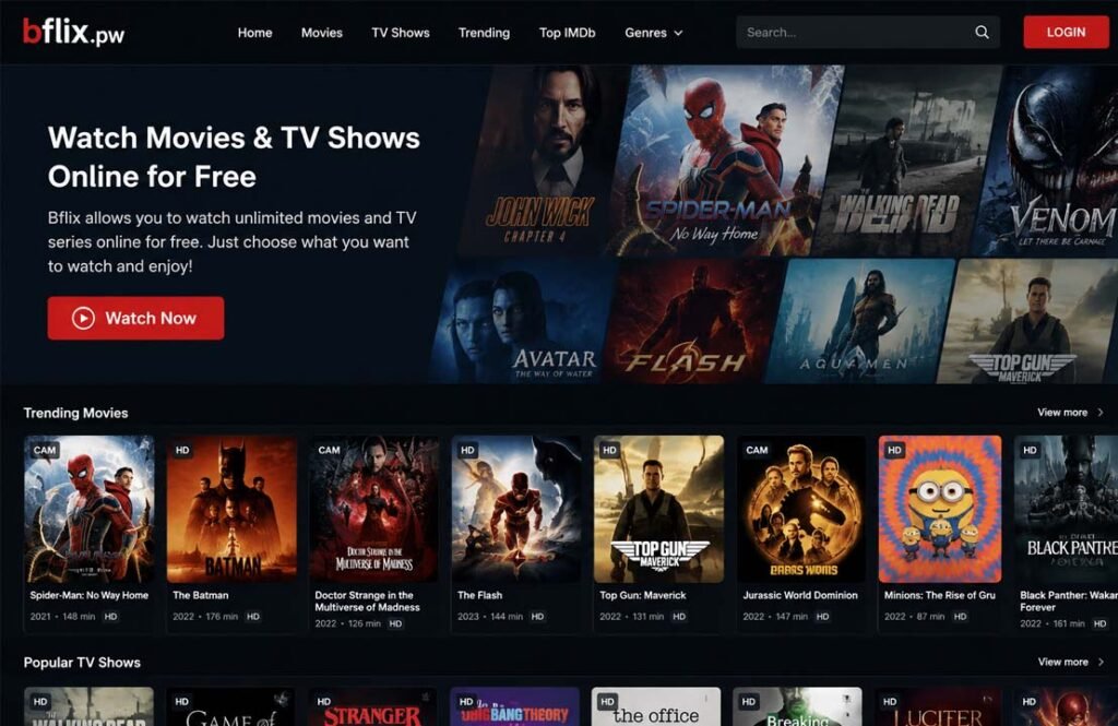 Bflix.pw Explained: What It Is, How It Works, Safety, and Best Alternatives Bflix.pw