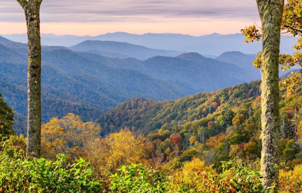 How to Plan a Relaxing Smoky Mountain Escape in Wears Valley How to Plan a Relaxing Smoky Mountain Escape in Wears Valley