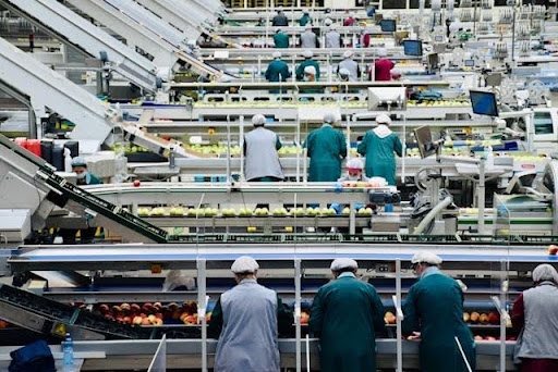 8 Strategies for Improving Visibility Across Production Processes