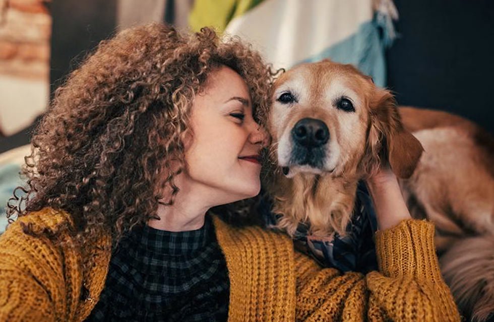Why In-Home Pet Sitters Need Specialized Public Liability Insurance Why In-Home Pet Sitters Need Specialized Public Liability Insurance